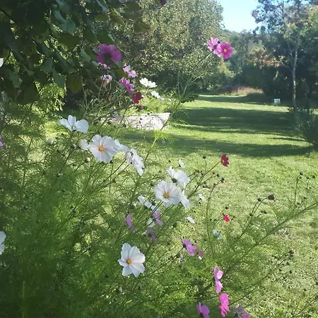 Arte For 6 People Near Labin - Rabac For 6 People With Sea View & Private Pool