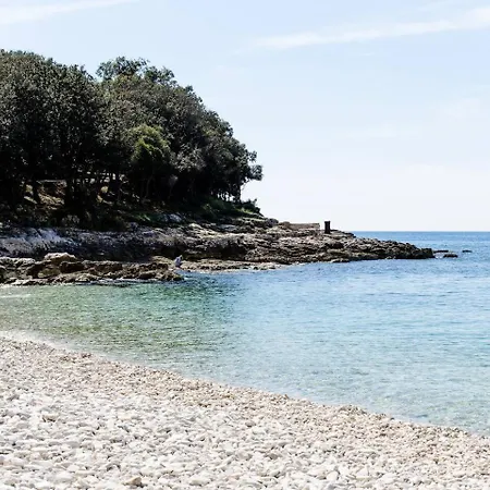 Arte For 6 People Near Labin - Rabac For 6 People With Sea View & Private Pool Villa